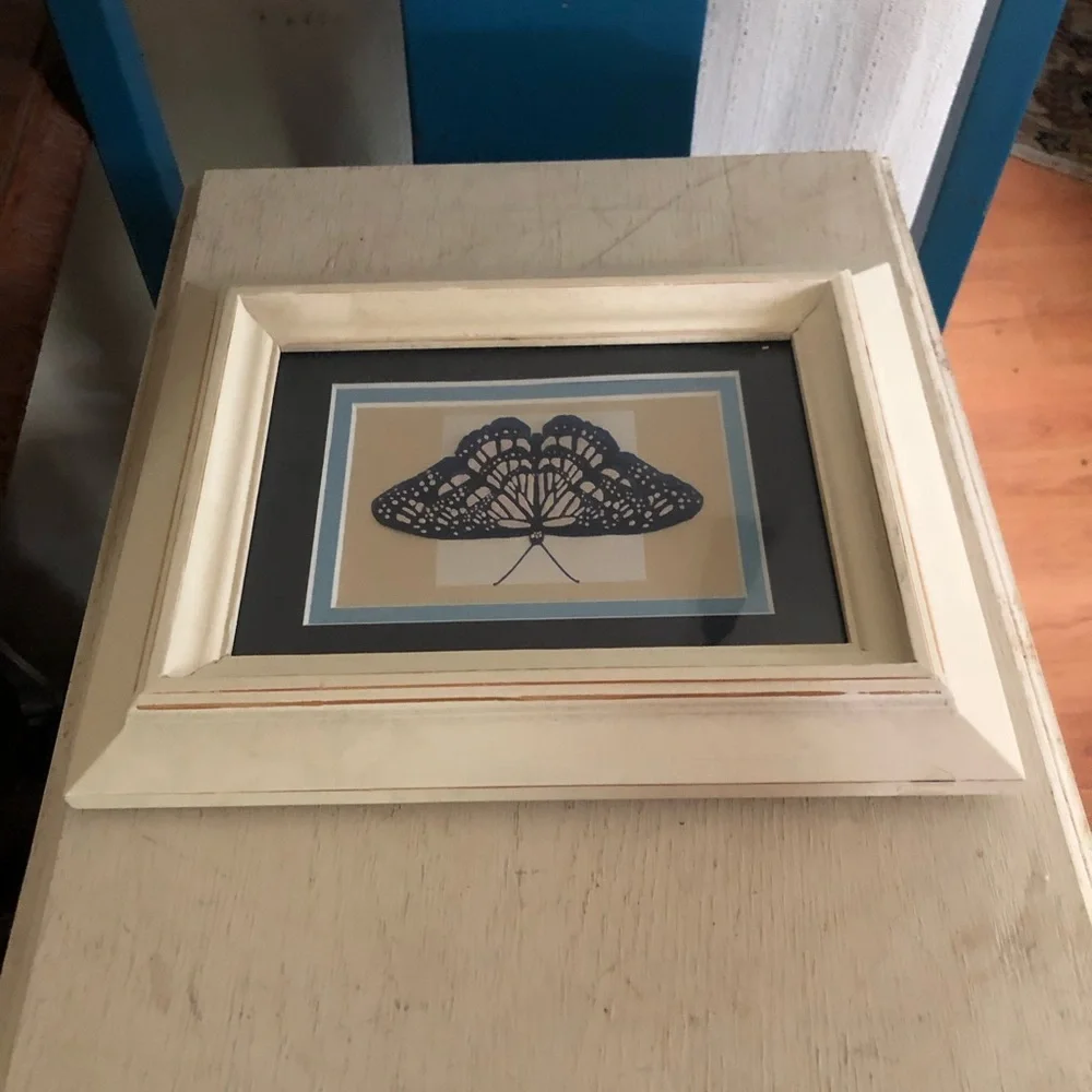 Framed Butterfly Print